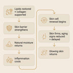 Complete Tallow Skin Routine