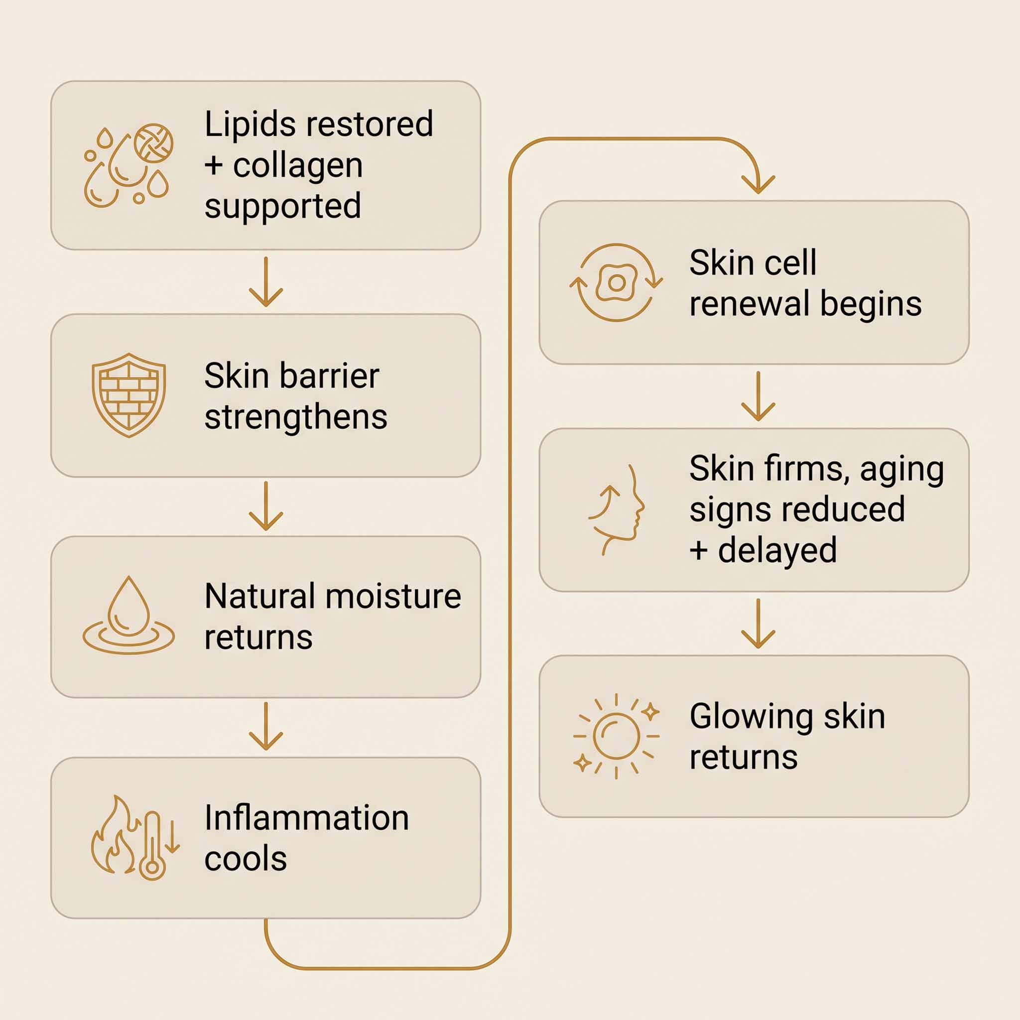 Complete Skin Identical Restoration System